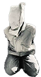 The Hostage